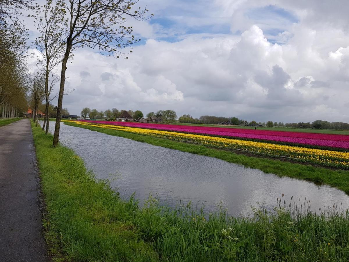 B & B De Tocht Berkhout Dış mekan fotoğraf